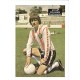 Signed picture of Southampton footballer Steve Williams.